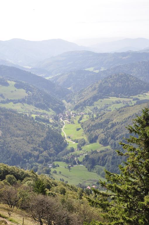 Pension Gasthaus Zur Schmiede Dachsberg im Schwarzwald Zewnętrze zdjęcie