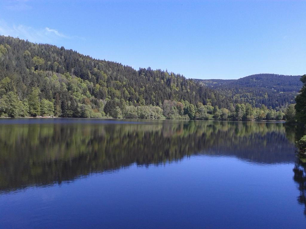Pension Gasthaus Zur Schmiede Dachsberg im Schwarzwald Zewnętrze zdjęcie