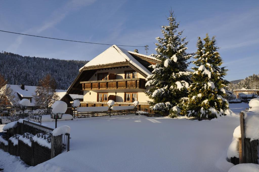 Pension Gasthaus Zur Schmiede Dachsberg im Schwarzwald Zewnętrze zdjęcie