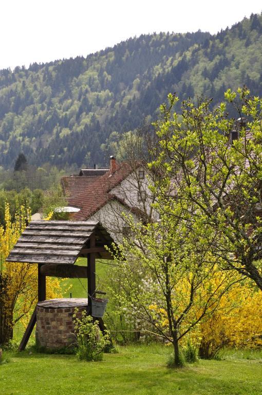 Pension Gasthaus Zur Schmiede Dachsberg im Schwarzwald Zewnętrze zdjęcie