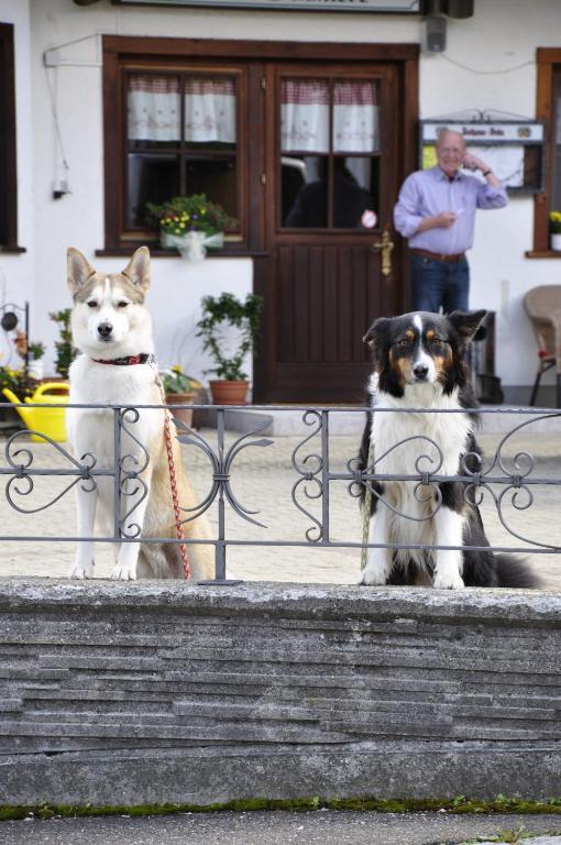 Pension Gasthaus Zur Schmiede Dachsberg im Schwarzwald Pokój zdjęcie