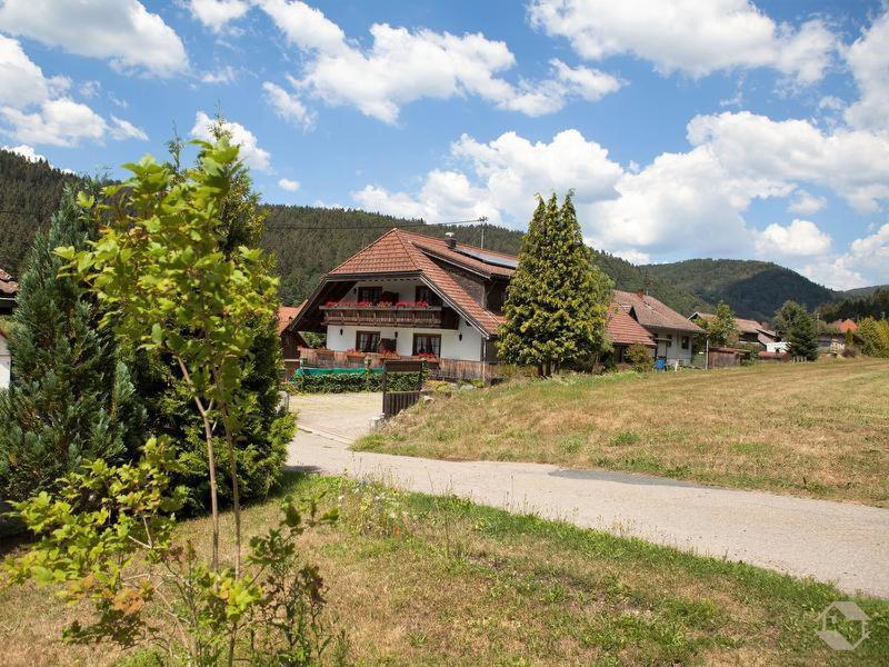 Pension Gasthaus Zur Schmiede Dachsberg im Schwarzwald Zewnętrze zdjęcie