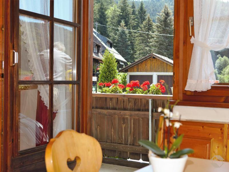 Pension Gasthaus Zur Schmiede Dachsberg im Schwarzwald Zewnętrze zdjęcie