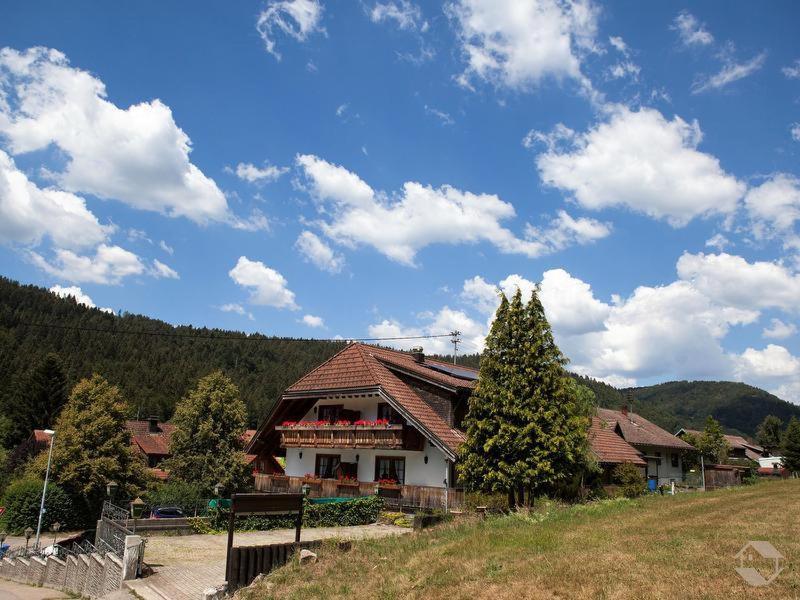 Pension Gasthaus Zur Schmiede Dachsberg im Schwarzwald Zewnętrze zdjęcie